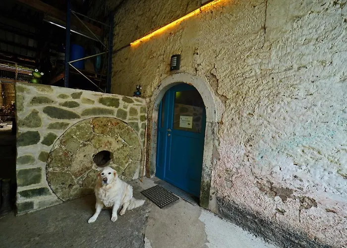 Bed & Breakfast In Berkel *