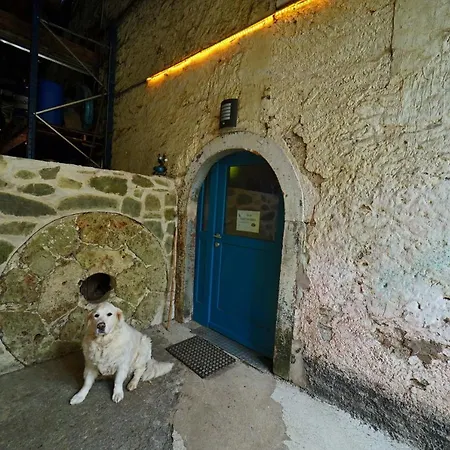 ベッド・アンド・ブレックファスト In Berkel *