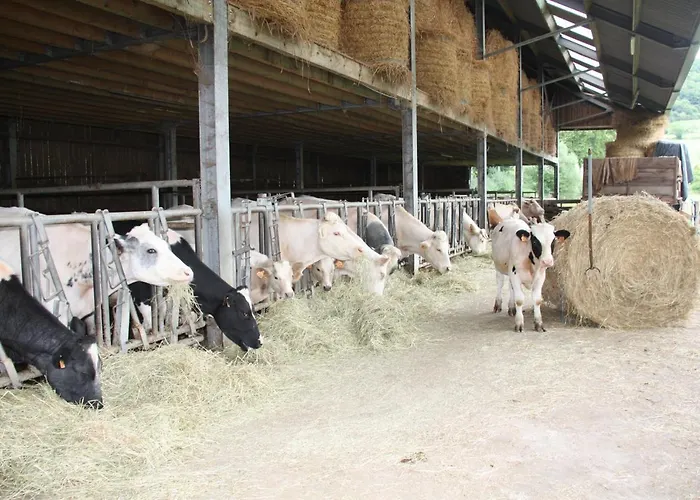 In Berkel * Bockholtz