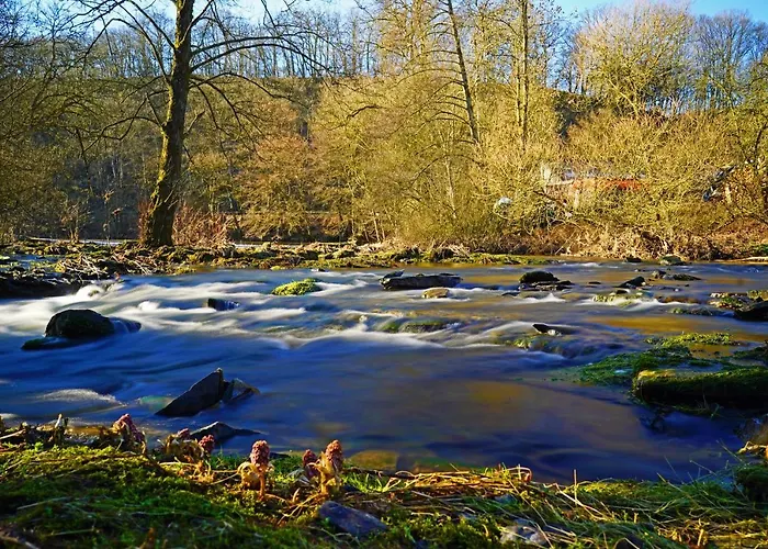 Bed & Breakfast In Berkel